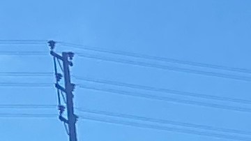 Nascar en Los Angeles