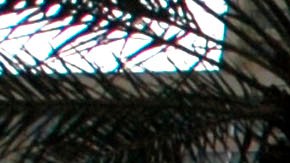 Niño de 4 años se dispara en la cabeza en el asiento trasero de un auto, mientras su mamá fumaba marihuana adelante