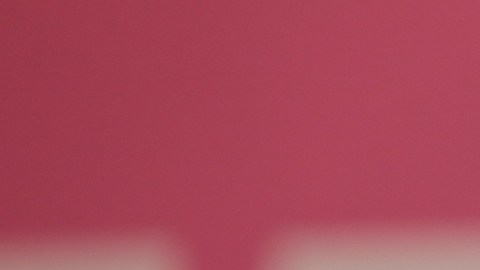 AMLO expresa su pésame por el fallecimiento de Onésimo Cepeda, obispo emérito de Ecatepec