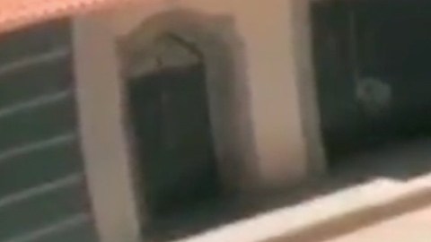 Perros atacan a niña y la dejaron con heridas graves.