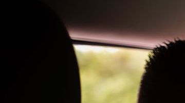 Los policías acusaron a la pareja de no pagar la licencia de funcionamiento de un local de medicina alternativa.