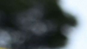 El incidente ya es investigado por la Unidad de Asuntos Internos de la Oficina del Fiscal del Condado de Somerset.