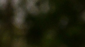 Policías de Austin acusados de fuerza excesiva liberados con una fianza de $1 dólar