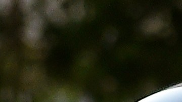 Policías de Austin acusados de fuerza excesiva liberados con una fianza de $1 dólar