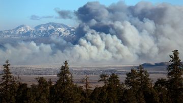 Primer gran incendio forestal de 2022 en California crece sin control a lo largo de 1,800 acres cerca de Bishop