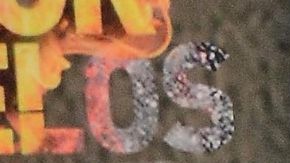 Rafael Amaya | Mezcalent