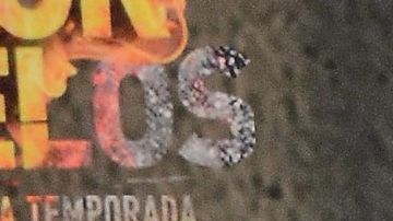 Rafael Amaya | Mezcalent