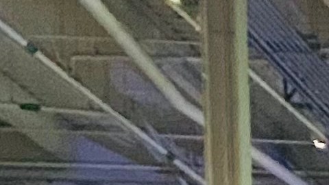 Ramón Sánchez, un mega fan de Los Angeles Rams es conocido como El Rambrero. (Cortesía)