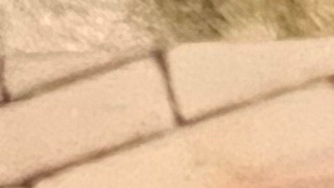 El líder sindical Raúl Perales muere un mes después de contraer el virus. (Cortesía)