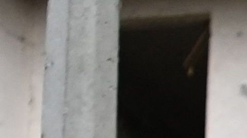 Residentes de Kiev se les pide preparar bombas Molotov mientras tropas rusas ingresan a la capital de Ucrania