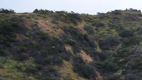 El cuerpo de la actriz desaparecida el domingo fue encontrado en Runyon Canyon.