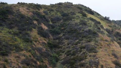 El cuerpo de la actriz desaparecida el domingo fue encontrado en Runyon Canyon.