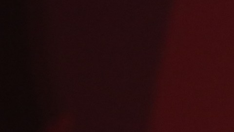AMLO solicita a Instituto de Transparencia información sobre periodista Carlos Loret de Mola