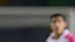 Tigres UANL v Chivas - Torneo Apertura 2021 Liga MX