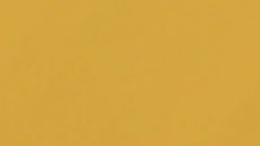 Toni Costa, ex de Adamari López