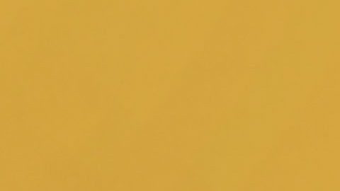 Toni Costa, ex de Adamari López