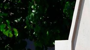 La Universidad del Sur de California es una de las más destacadas en el estado.