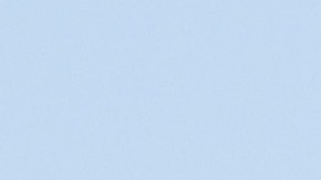 VIDEO Matthew Stafford criticado por ignorar a fotógrafa que cayó y se rompió la columna junto a él durante festejo del Super Bowl