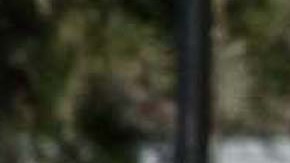 Video muestra como sospechoso dispara contra policía que acudió en auxilio de una mujer que estaba ahogándose en su propia sangre