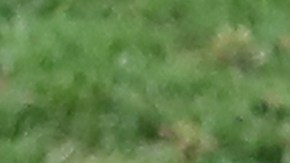 Roman Zozulya, delantero de la selección de Ucrania opinó que Putin es la reencarnación de Hitler.