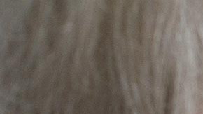 Wright ya tenía antecedentes penales