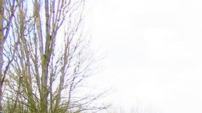 Buscarán las medidas necesarias para evitar los accidentes