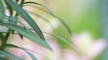 La madre sintió dolor en el abdomen y fue atendida en el hospital