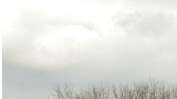 La mujer murió al volcarse su camioneta