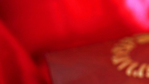 El Año del Tigre será muy afortunado para 5 signos del horóscopo chino.