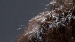 Antonio Banderas y Penélope Cruz