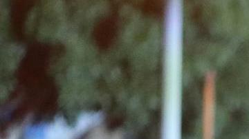 Los Angeles (United States), 14/02/2022.- A man talks to LAPD officers deployed due to clashes erupting as revelers celebrate the Los Angeles Rams winning the Super Bowl, in Los Angeles, California, USA, 13 February 2022. The Los Angeles Rams defeated the Cincinnati Bengals in the Super Bowl LVI. (Estados Unidos) EFE/EPA/DAVID SWANSON
