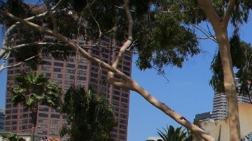 Casas de una sola recámara por $837,000: el costoso programa de LA para construir viviendas a personas sin hogar