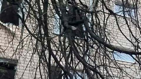VIDEO: Reportero de CNN interrumpe transmisión en vivo por explosiones en Kiev y colocarse equipo antibalas