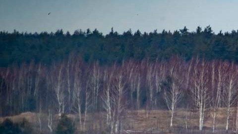 Putin ordena el envío de tropas a Donetsk y Luhansk tras reconocer la independencia de las regiones rebeldes