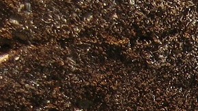 La investigación sobre la compañía inició desde 2016.