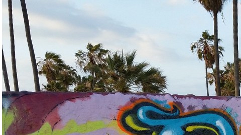 Más de 12,000 galones de pintura se usan al año para eliminarlos