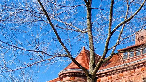 Universidad de Harvard