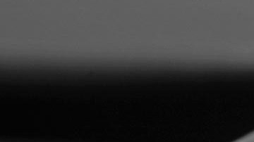 Les gritaba que se fueran de EE.UU.