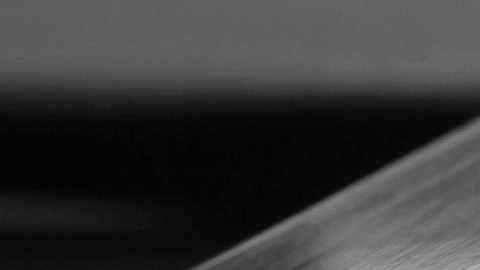 Les gritaba que se fueran de EE.UU.