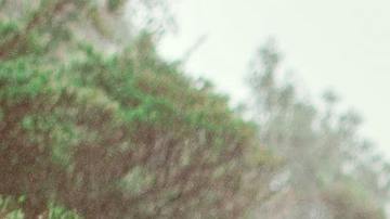 Cada signo zodiacal vivirá una experiencia diferente el 14 de febrero.