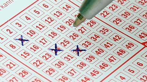 A pesar de que probaron suerte en distintos juegos en todos ganaron