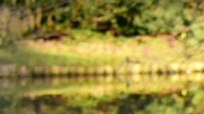 La mujer caminaba por la calle cuando fue arrollada