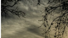 La niña de 9 años fue acusada de agresión