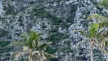 Fotos: Captan a Barack Obama visitando la polémica mansión que está construyendo en Hawai