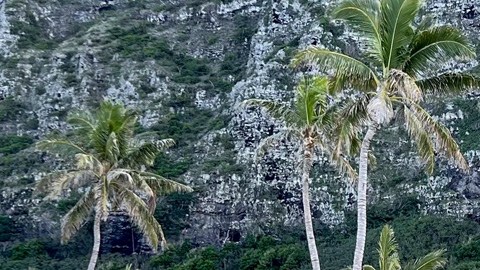 Fotos: Captan a Barack Obama visitando la polémica mansión que está construyendo en Hawai