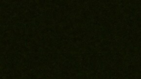 Olivia Rodrigo tendrá un especial en Disney+.