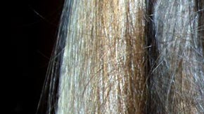 Había dos niños más que presenciaron los hechos