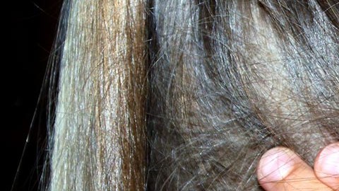 Había dos niños más que presenciaron los hechos