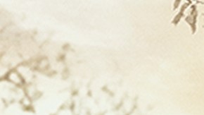 'Pasión de Gavilanes II' llega a casi 20 años de la original.