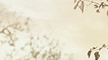 'Pasión de Gavilanes II' llega a casi 20 años de la original.